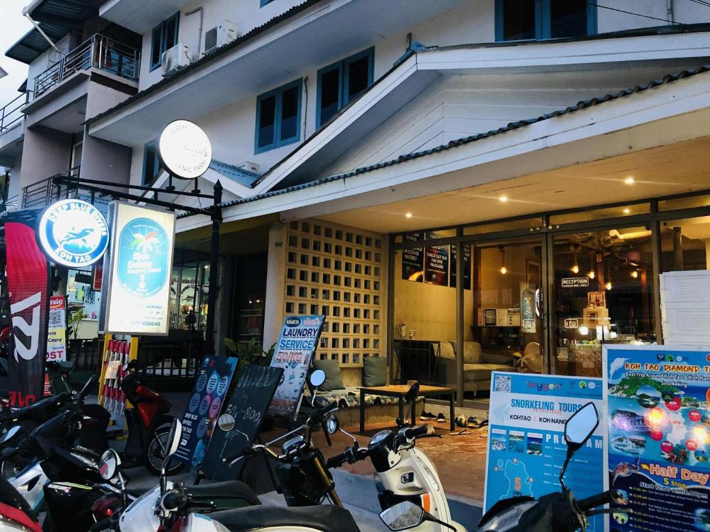 Bluegelatohousekohtao – Koh Tao